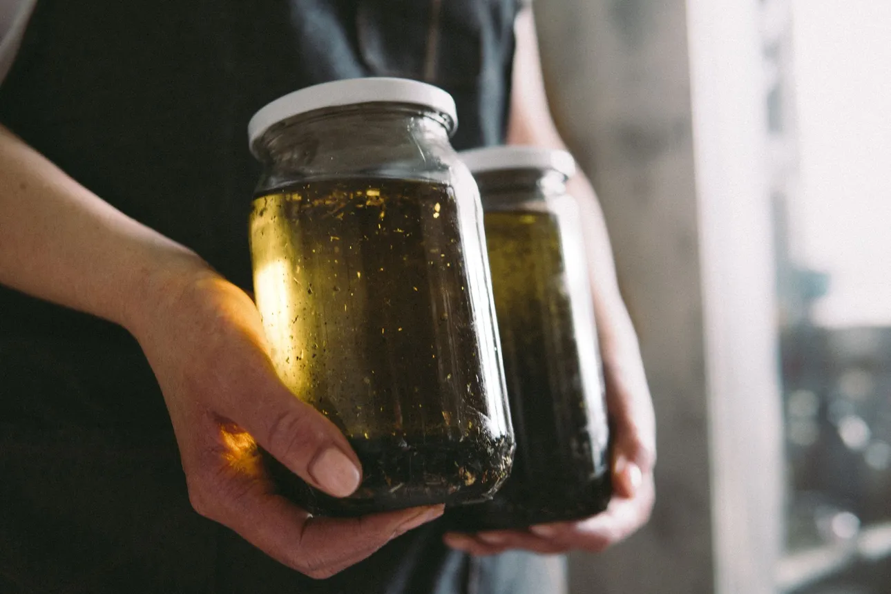 Maceration