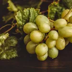 Olio d'uva