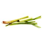 Hierba de citronela