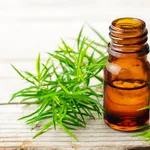 Tea Tree